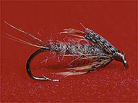 Mr. Rapidan Emerger