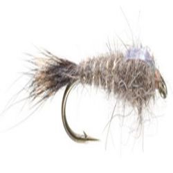 Flashback Hares Ear
