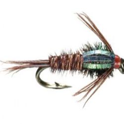 Flashback Pheasant Tail