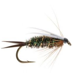 Prince Nymph