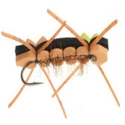 Chernobyl Ant
