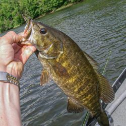 Holston Smallmouth