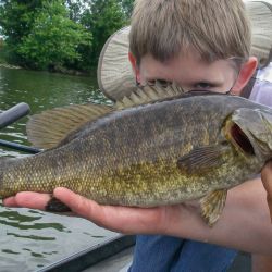 Fly Fishing Bandito Jr