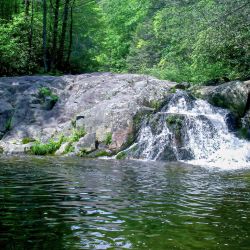 Steel Creek Water Fall