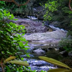 Steel Creek Above Falls