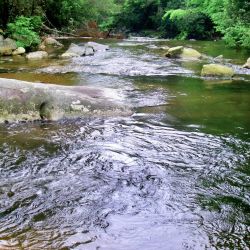 Steel Creek Above Falls
