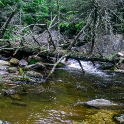 Steel Creek Above Falls