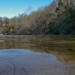 Watauga River