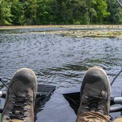 Floating Toons