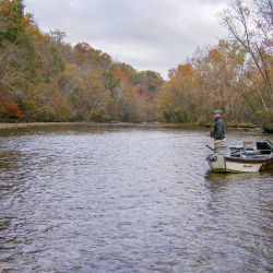Casting Watauga River