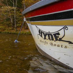 Fly Fishing Watauga River