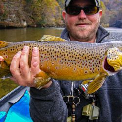 Big Brown Trout