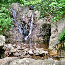 Water Fall Cabin Creek Trail