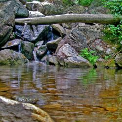 Water Fall Cabin Creek Trail