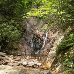 Cabin Creek Trail