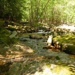 Wilson Creek Waters
