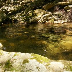 Wilson Creek