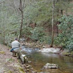 Fly Fishing Wilson Creek