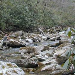 Fly Fishing Wilson Creek
