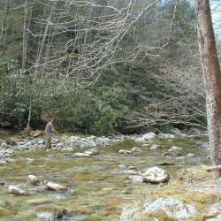 Fly Fishing Wilson Creek