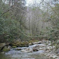 Upper Wilson Creek