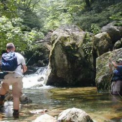 Fly Fishing NC Mountains