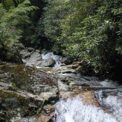 Above Skinny Dip Falls
