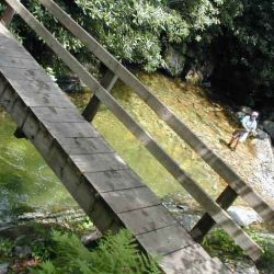 Foot Bridge Yellowstone Prong