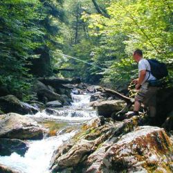Journey Upper Falls