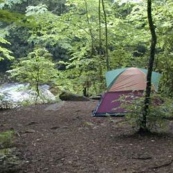 Camping Yellowstone Prong
