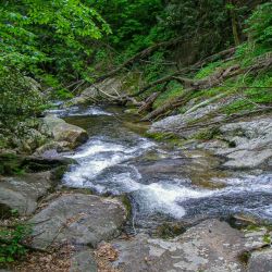 Fly Fishing Appalachia