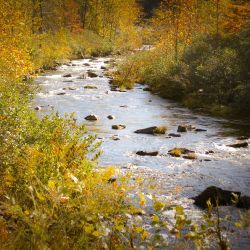 Yellow Creek