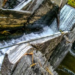 Fly Fishing Smoky Mnts