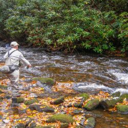 Fly Fishing Noland Creek