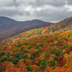 Blue Ridge Parkway