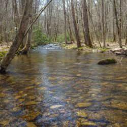 Fly Fishing NC Mountains
