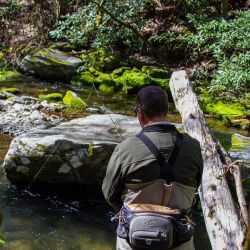 Fly Fishing NC Mountains