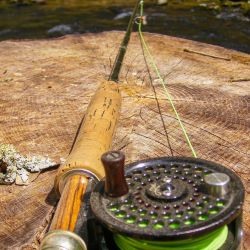Fly Rod & Reel