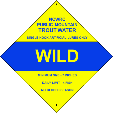 Wild Trout